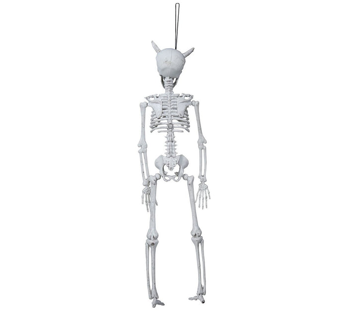Halloween Hangdecoratie Duivel Skelet 40cm van Fiestas Guirca koop je bij Partywinkel