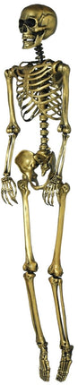 Halloween Goud Skelet 90cm van Fiestas Guirca koop je bij Partywinkel