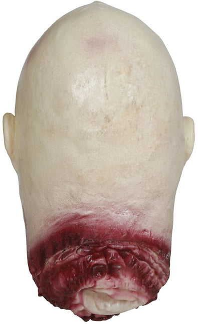 Halloween Pop Nep Hoofd 35cm van Fiestas Guirca koop je bij Partywinkel