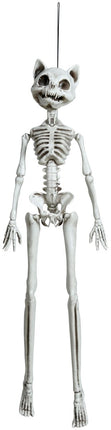 Halloween Skelet Kat 37cm van Fiestas Guirca koop je bij Partywinkel