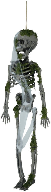 Halloween Hangdecoratie Skelet Met Mos 40cm van Fiestas Guirca koop je bij Partywinkel