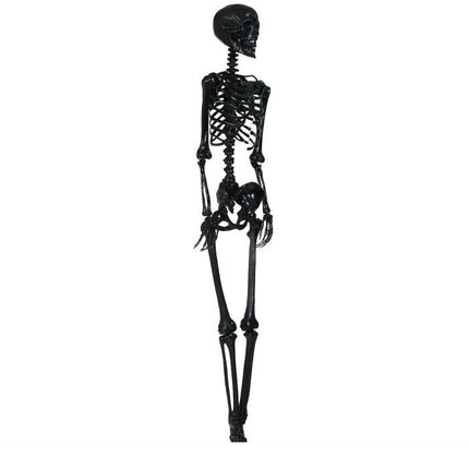 Halloween Hangdecoratie Zwart Skelet 1,6m van Fiestas Guirca koop je bij Partywinkel