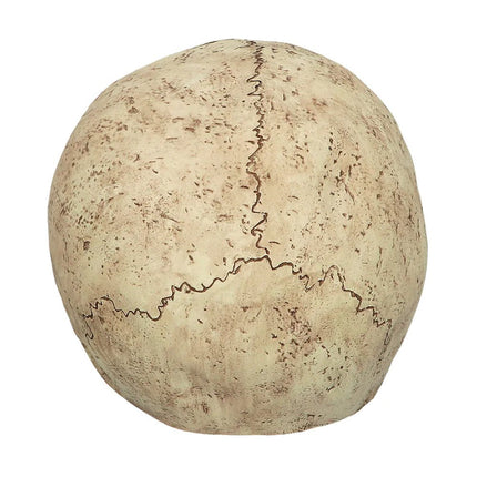 Halloween Masker Nude Schedel van Boland koop je bij Partywinkel