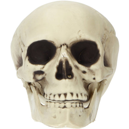 Halloween Schedel 19cm van Folat koop je bij Partywinkel
