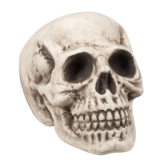 Halloween Schedel 31cm van Boland koop je bij Partywinkel