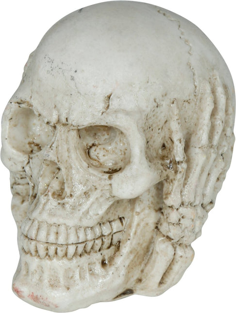 Halloween Schedel 6cm van Fiestas Guirca koop je bij Partywinkel