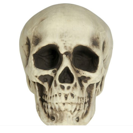 Halloween Schedel Wit Schuim 20cm van Fiestas Guirca koop je bij Partywinkel