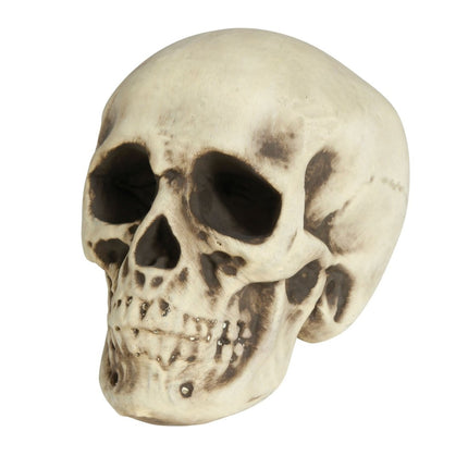 Halloween Schedel Wit Schuim 20cm van Fiestas Guirca koop je bij Partywinkel