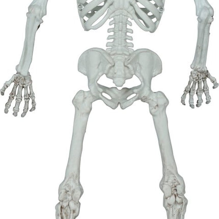 Halloween Skelet 55cm van Fiestas Guirca koop je bij Partywinkel