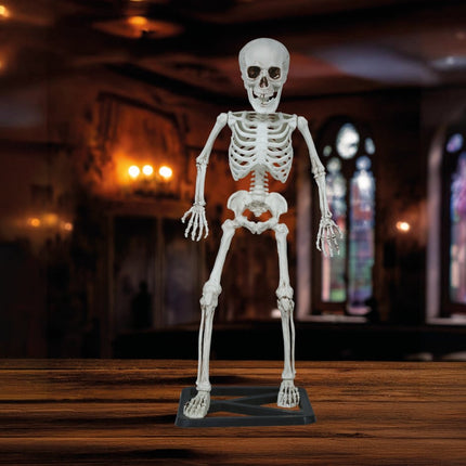 Halloween Skelet 55cm van Fiestas Guirca koop je bij Partywinkel