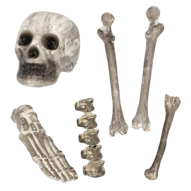 Halloween Skelet 6st van Boland koop je bij Partywinkel