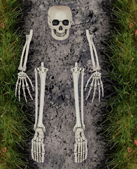 Halloween Skelet Botten 5 delig van Fiestas Guirca koop je bij Partywinkel