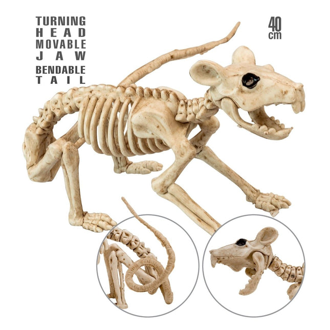 Halloween Skelet Rat 40cm van Widmann koop je bij Partywinkel