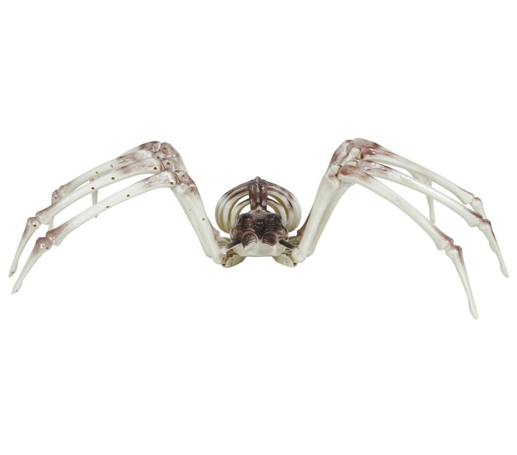 Halloween Skelet Spider 85cm van Fiestas Guirca koop je bij Partywinkel