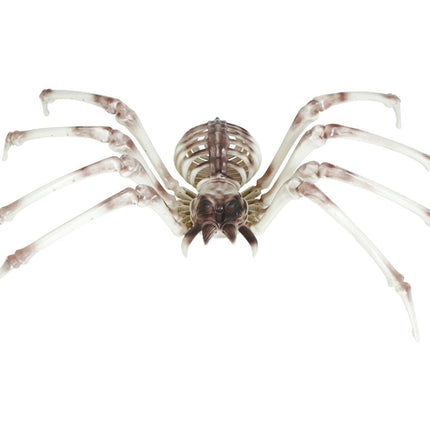 Halloween Skelet Spider 85cm van Fiestas Guirca koop je bij Partywinkel