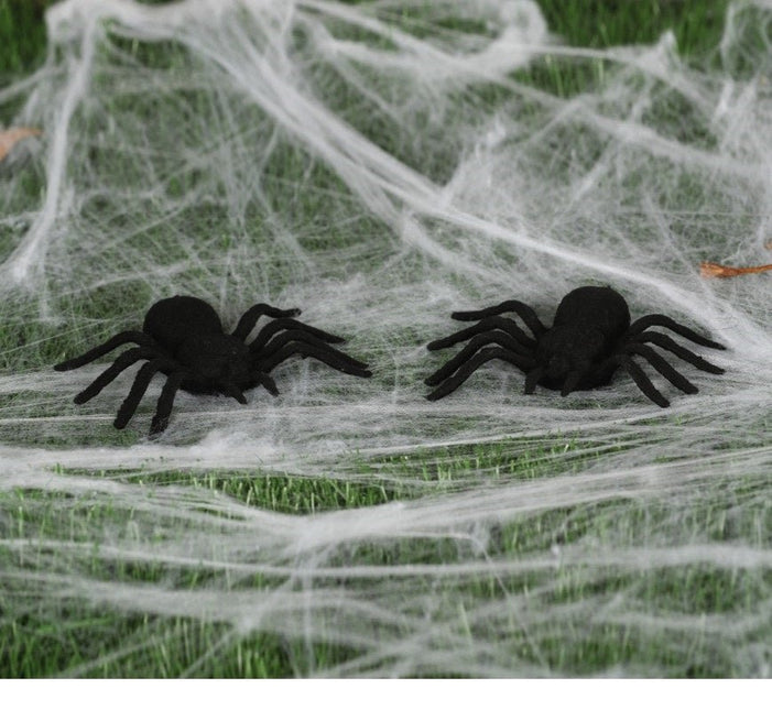 Halloween Spinnen Set 10cm 2 delig van Fiestas Guirca koop je bij Partywinkel