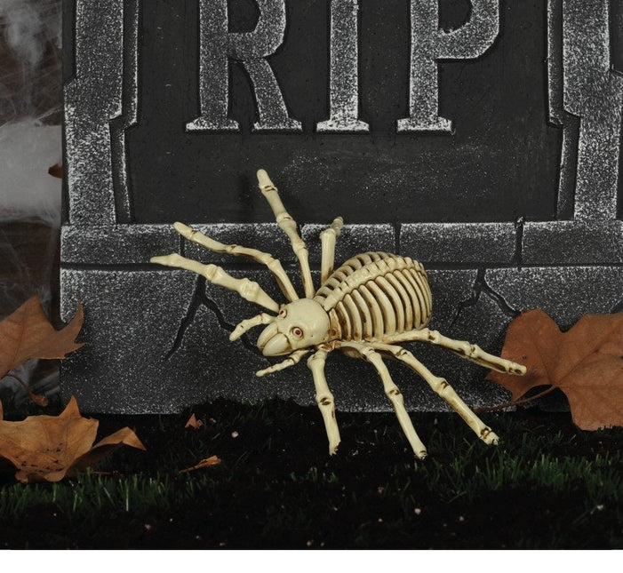 Halloween Spinnen Skelet 24cm van Fiestas Guirca koop je bij Partywinkel