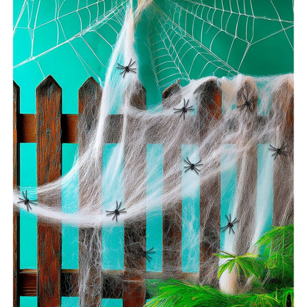 Halloween Spinnenweb Met Spinnen 10 delig van Widmann koop je bij Partywinkel