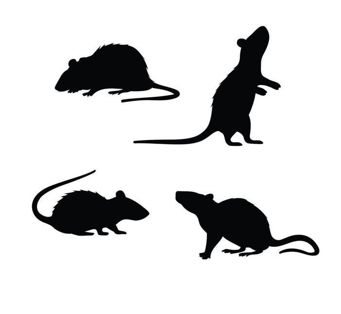 Halloween Tafeldecoratie Ratten van Fiestas Guirca koop je bij Partywinkel