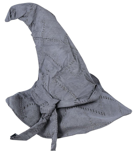 Halloween Tovenaarshoed Grijs van Fiestas Guirca koop je bij Partywinkel