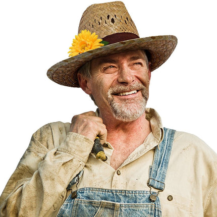 Hawaii Hoed Riet van Widmann koop je bij Partywinkel