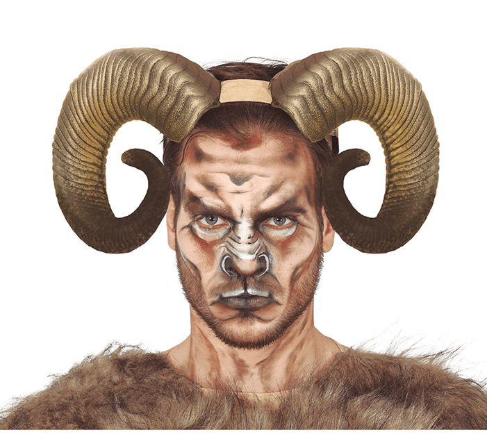 Hoorns van Fiestas Guirca koop je bij Partywinkel