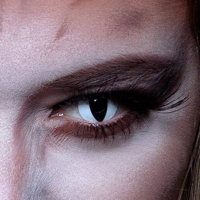 Kleurlenzen Kattenogen van Boland koop je bij Partywinkel