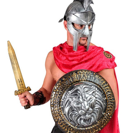 Leeuwenhart Schild en Zwaard van Widmann koop je bij Partywinkel