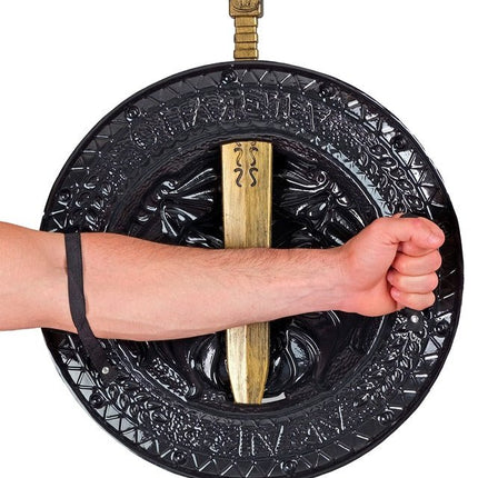 Leeuwenhart Schild en Zwaard van Widmann koop je bij Partywinkel