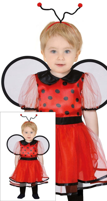 Lieveheersbeestje Peuter Kostuum Meisje van Fiestas Guirca koop je bij Partywinkel