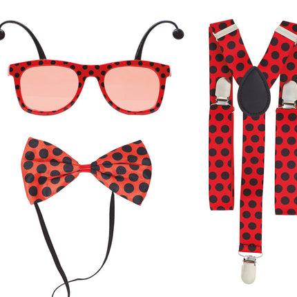 Lieveheersbeestje Set 3 delig van Fiestas Guirca koop je bij Partywinkel