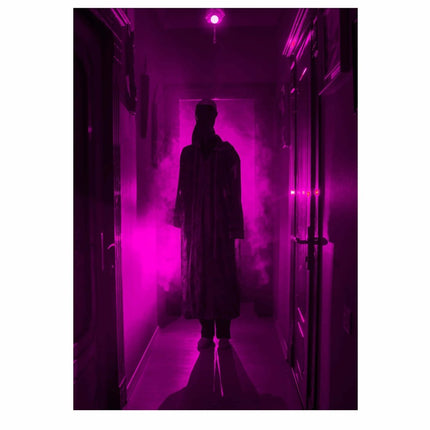 Lila Ledlamp 5W van Fiestas Guirca koop je bij Partywinkel