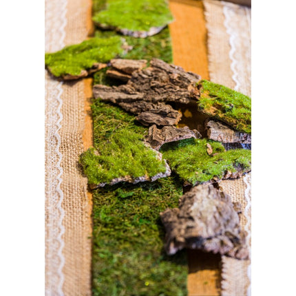Groene Lint Mos 10Cm 1m