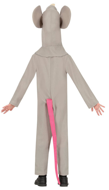 Muis Kostuum Kind 2 delig van Fiestas Guirca koop je bij Partywinkel