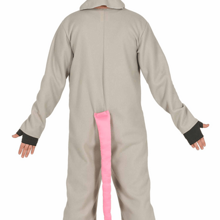 Muizenpak van Fiestas Guirca koop je bij Partywinkel