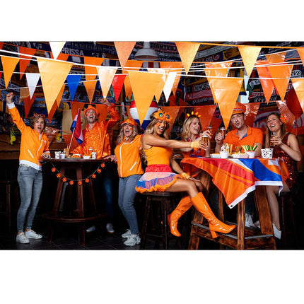Oranje Bril Glitters van Boland koop je bij Partywinkel