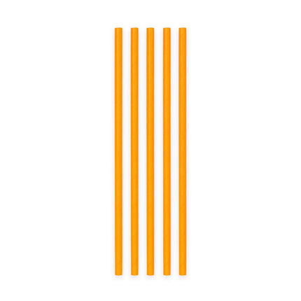 Oranje Rietjes Karton 20st van WeFiesta koop je bij Partywinkel