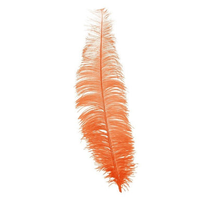 Oranje Struisvogelveren 40cm 12st van Fiestas Guirca koop je bij Partywinkel
