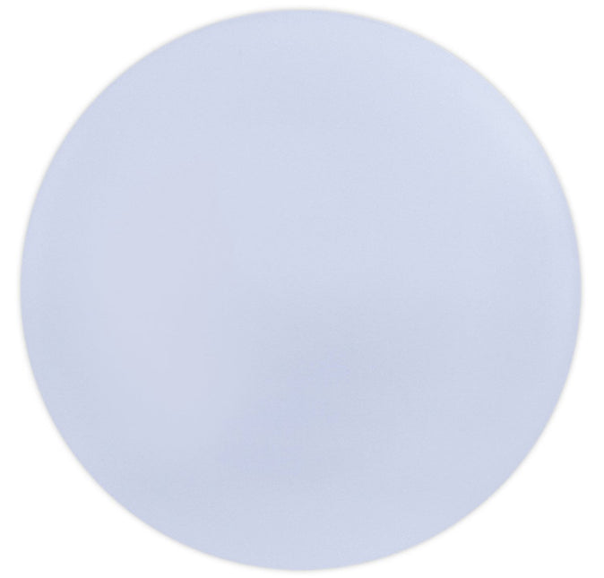 Paarse Borden Pastel 25cm 2st van Procos koop je bij Partywinkel