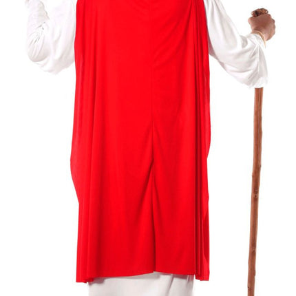 Panoramix Kostuum Asterix en Obelix van Fiestas Guirca koop je bij Partywinkel