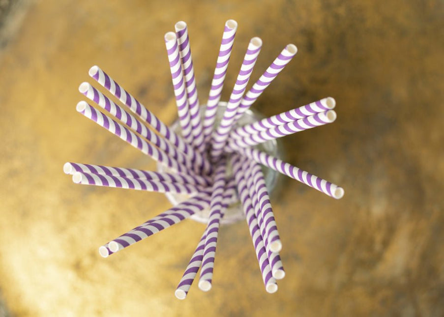 Papieren Rietjes Paars Gestreept 19,7cm 20st van WeFiesta koop je bij Partywinkel