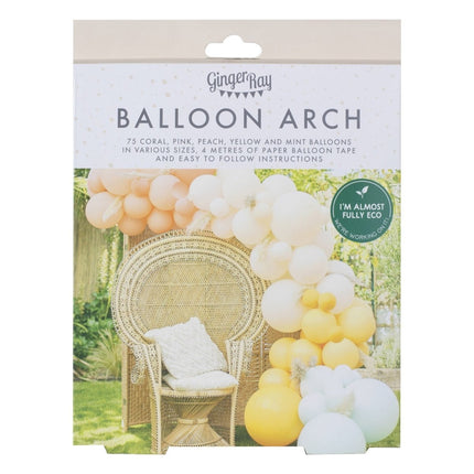 Pastel Ballonnenboog Nude DIY Set van Ginger Ray koop je bij Partywinkel