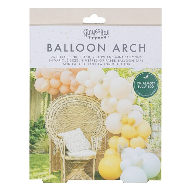 Pastel Ballonnenboog Nude DIY Set van Ginger Ray koop je bij Partywinkel
