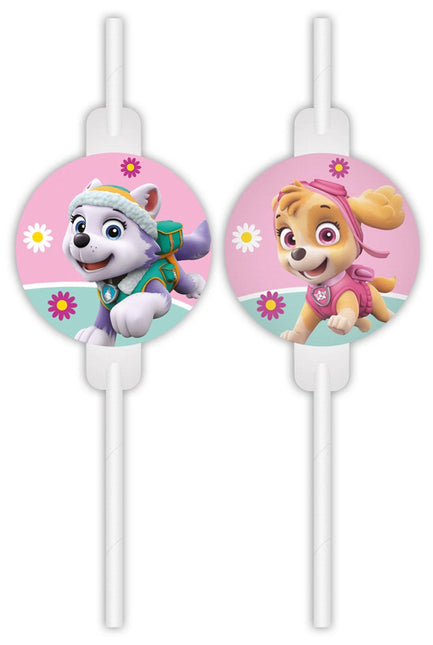 Paw Patrol Rietjes Skye And Everest 4st van Procos koop je bij Partywinkel