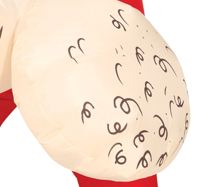 Penis Kostuum Heren Opblaasbaar van Fiestas Guirca koop je bij Partywinkel