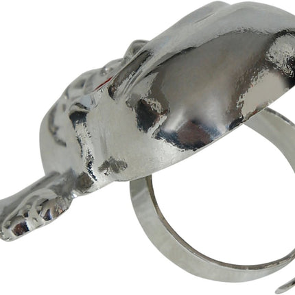 Piraat Accessoireset Zilver van Fiestas Guirca koop je bij Partywinkel