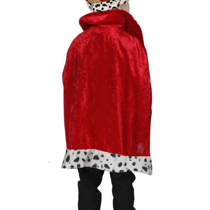 Prins Cape Jongen van Wilbers & Wilbers koop je bij Partywinkel