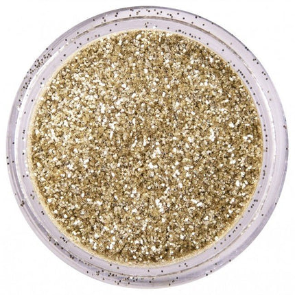 PXP Glitter Poeder Dutch Silver 2,5gr van PXP Professional Colours koop je bij Partywinkel