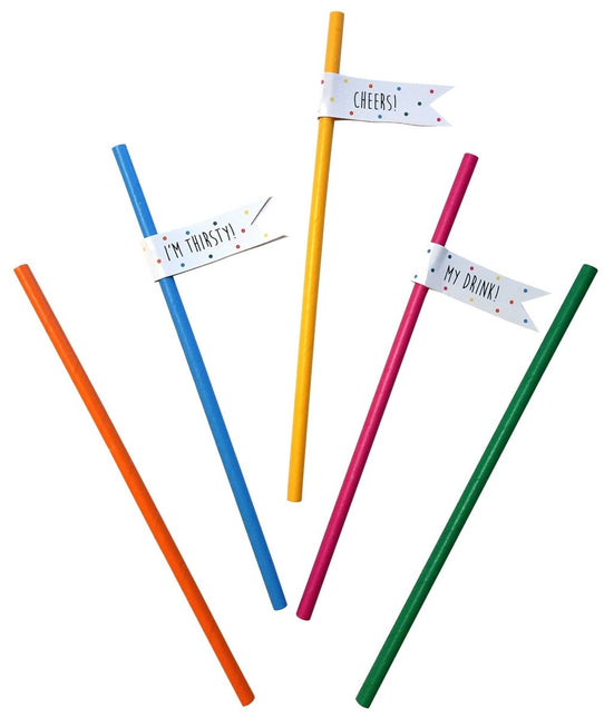 Rietjes Gekleurd 8cm 20st van Haza Witbaard koop je bij Partywinkel