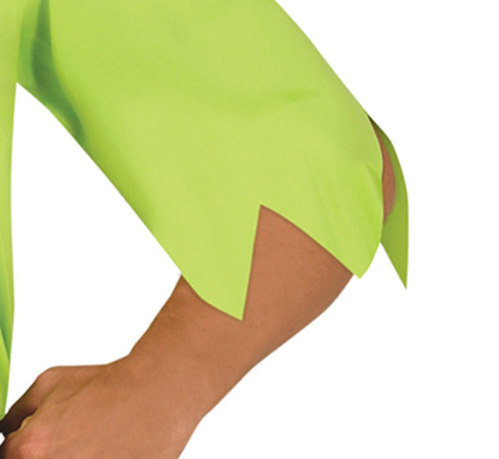 Robin Hood Kostuum Heren van Fiestas Guirca koop je bij Partywinkel